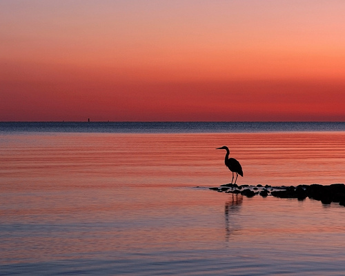 Deerfield beach Images